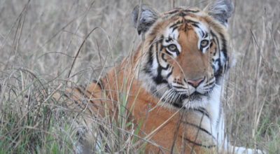प्रतीकात्मक तस्बिर ।